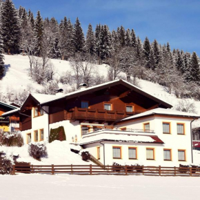 Ferienhaus Steger Maria, Flachau, Österreich